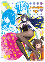 NS-10-M01-27 Mai Sakurajima | Rascal Does Not Dream of Bunny Girl Senpai